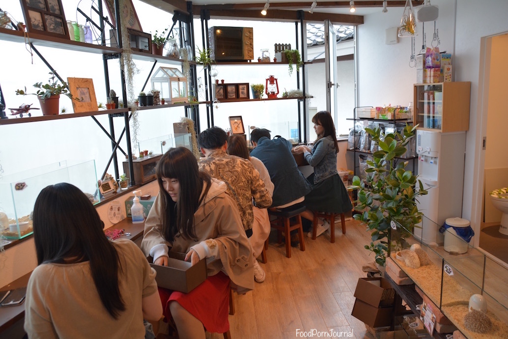 Harry Hedgehog Cafe Tokyo inside