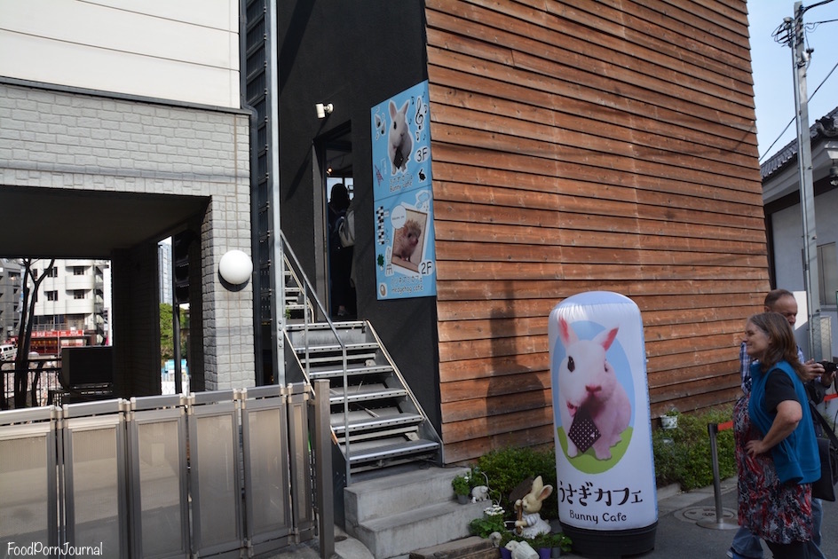 Harry Hedgehog cafe Tokyo