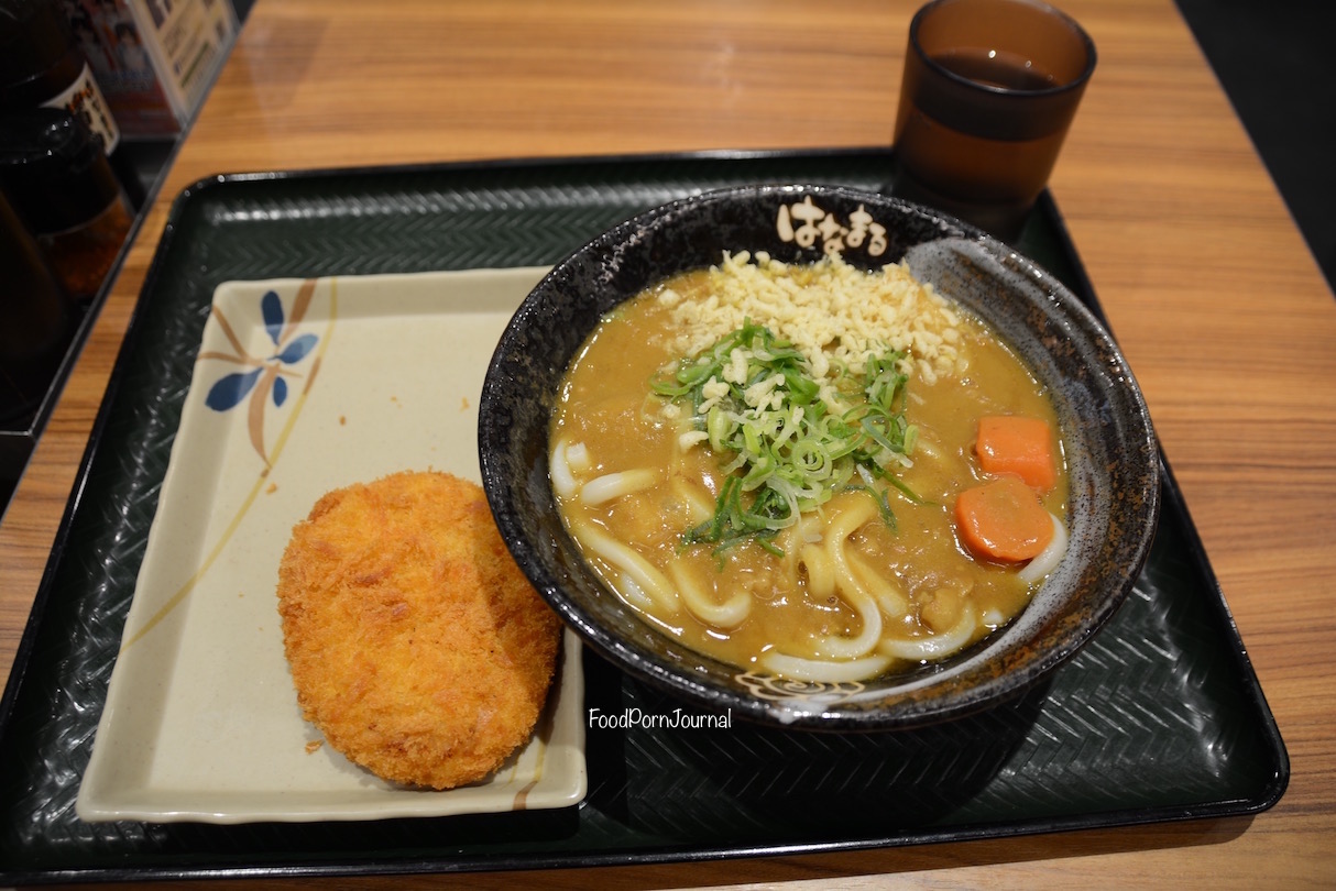 Japan Nagano curry udon