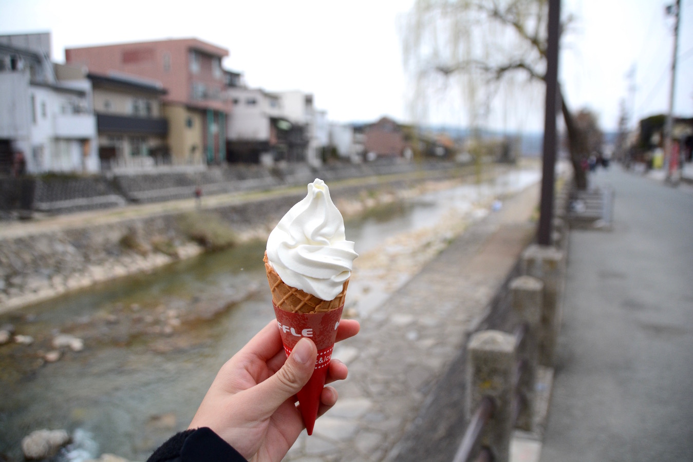 Japan Takayama sake ice cream