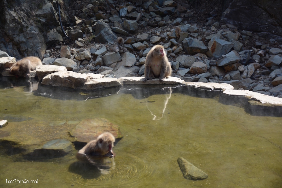 Japan Yamanouchi snow monkeys