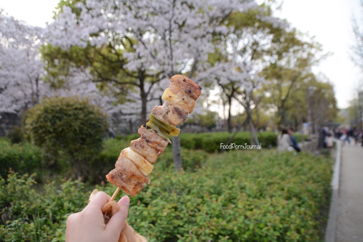 Osaka Japan street food pork skewer