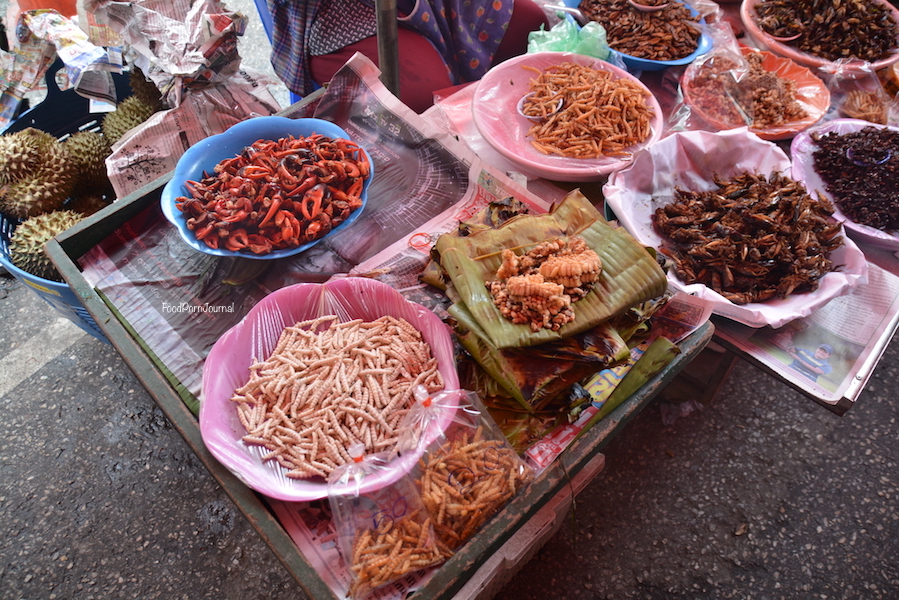 Chiang Mai Warorot insects