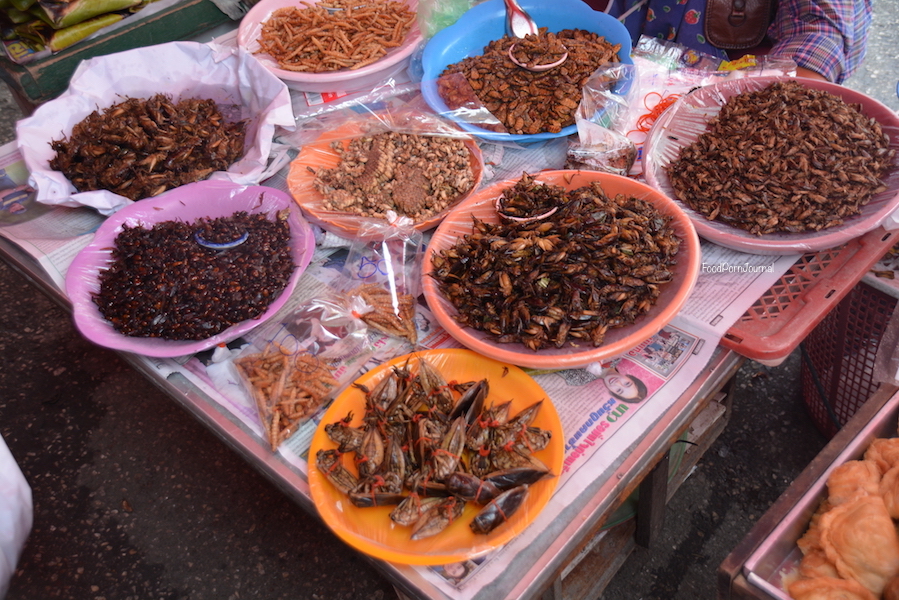 Chiang Mai Warorot insects