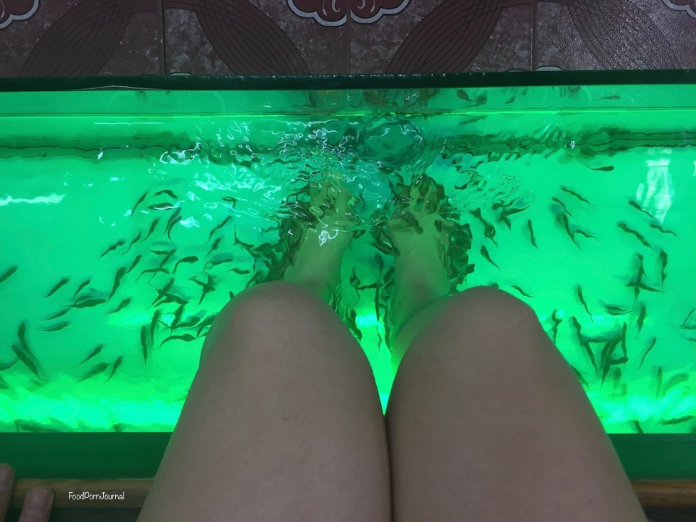 Chiang Mai fish massage