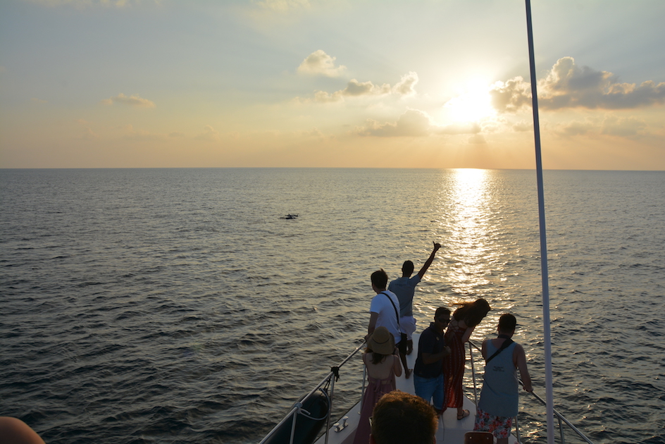 Finolhu Maldives dolphin cruise