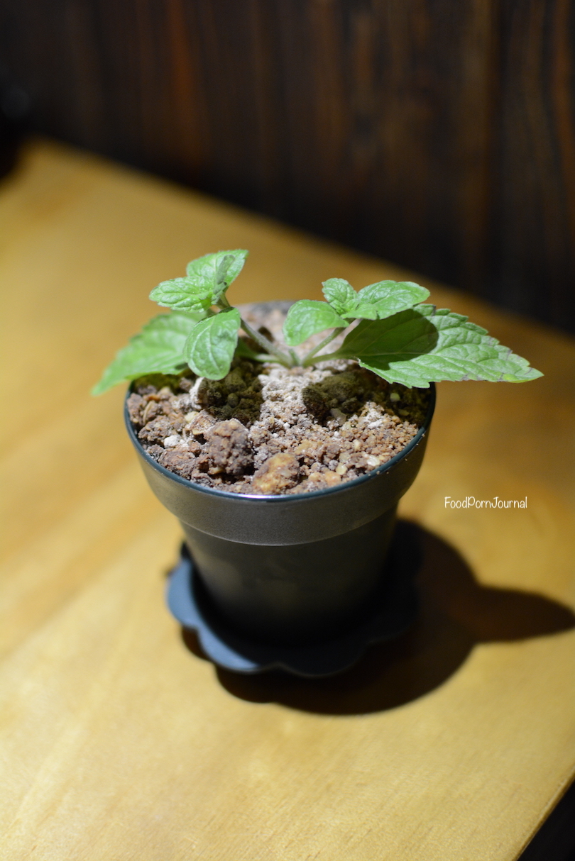 Matcha Bonsai Sense Dessert Cafe Hong Kong