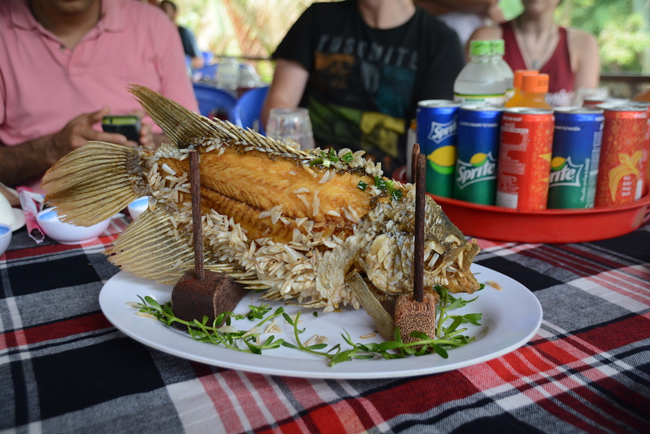 Mekong Delta Cruise fish 