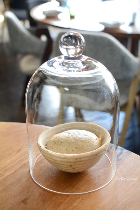 Orana Sydney bread proofing