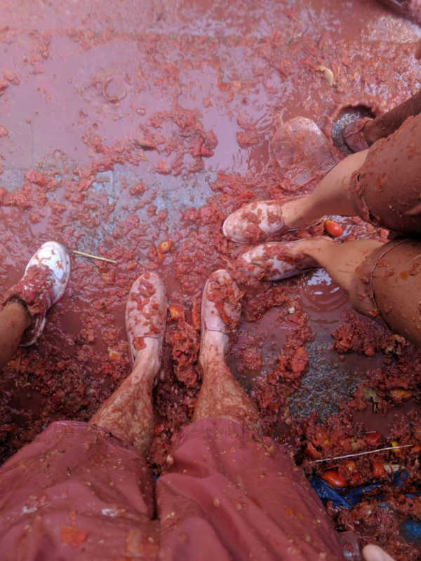 La Tomatina Bunol Spain 2019