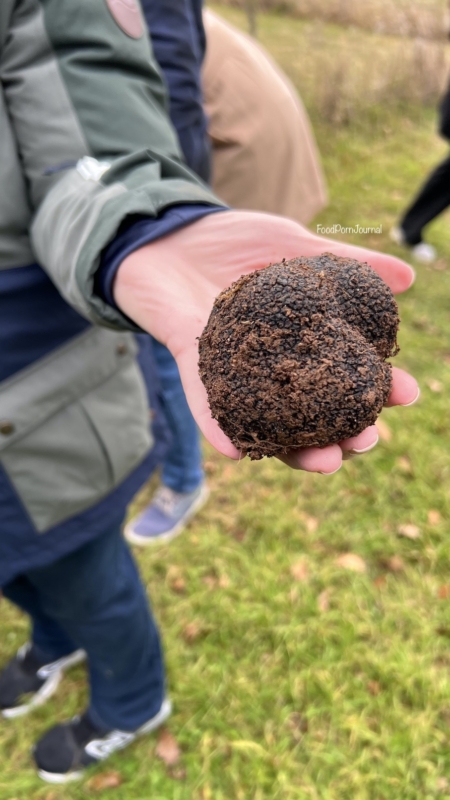 The Truffle Farm Canberra truffle hunting