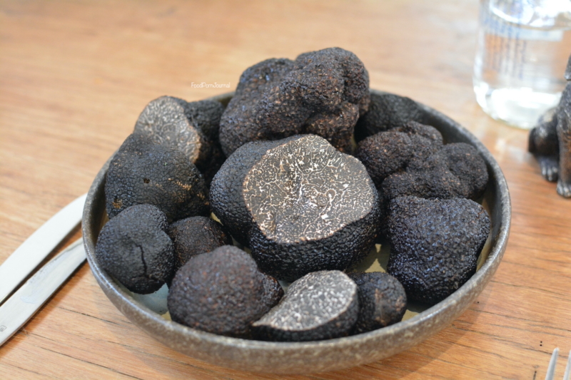 The Truffle Farm truffle hunt